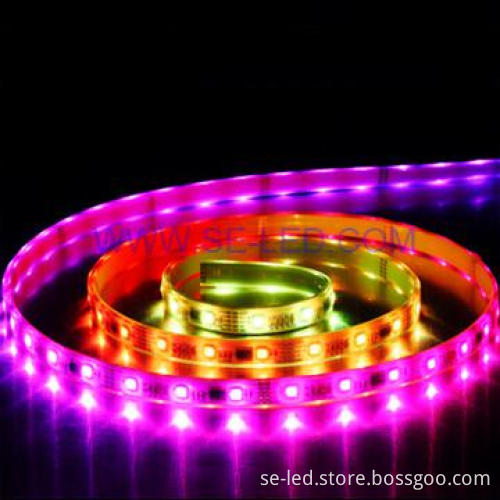 RGB 60pcs 5050SMD DC12V Waterproof LED pásek